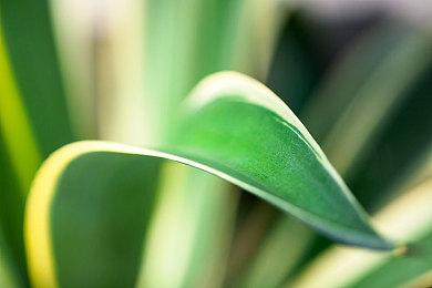 《风火轮2：爆发》预购开启 国区售价248元